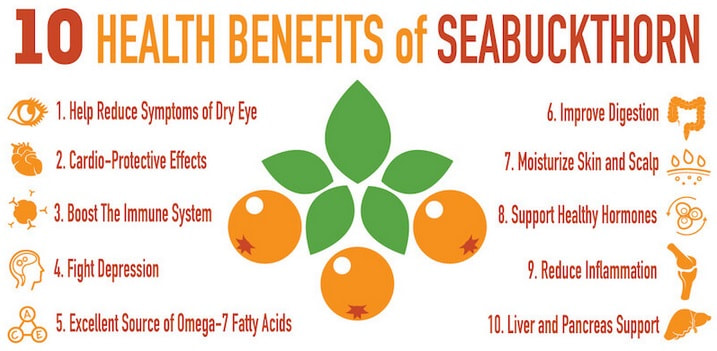 Benefits of Sea Buckthorn
